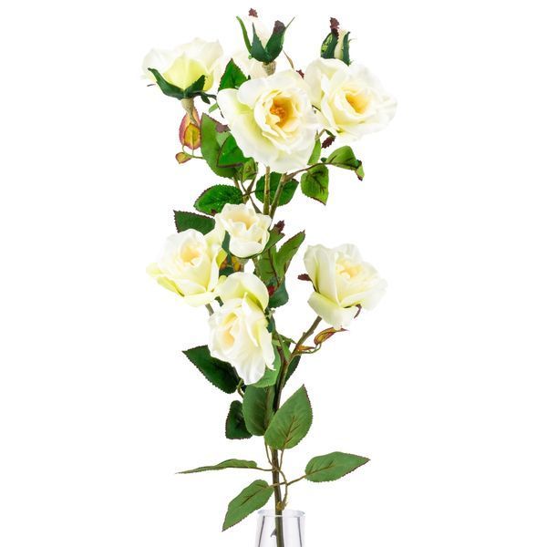Камелія кремова. 75 см 025F/cream фото