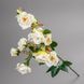 Камелія кремова. 75 см 025F/cream фото 1